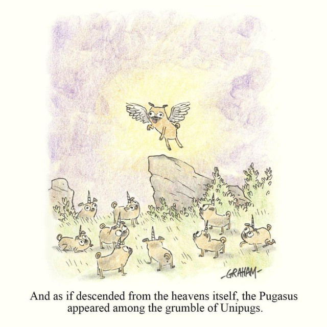 A cartoon illustration of a winged pug flying above a rock outcropping surrounded by a field of pugs with unicorn horns. Caption reads "And as if descended from the heavens itself, the Pugasus appeared among the grumble of Unipugs."