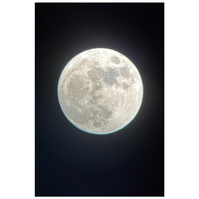 A nearly full moon at 99% illumination with visible craters, softly luminous against a black sky. Shot on an iPhone 15 attached to a Celestron 130mm-aperture reflector telescope.
