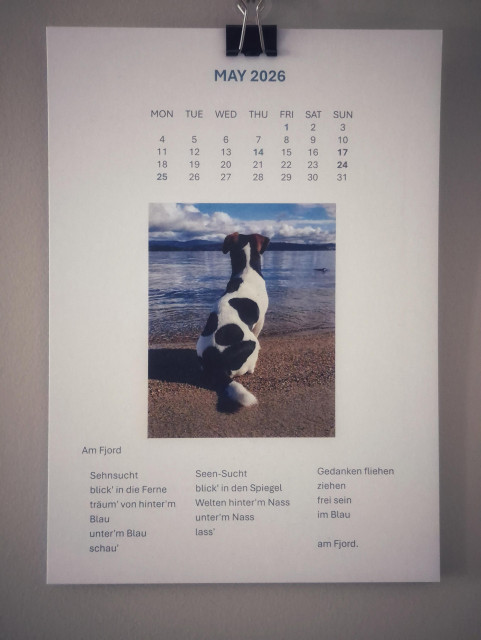 A new calendar sheet showing a tri-coloured Russell Terrier sitting on the beach with his back to the Kanera, looking out over the still water. The sky is blue with some clouds over the rolling hills on the horizon. 
The poem to the photo goes as follows in German: 
Am Fjord

Sehnsucht
blick' in die Ferne
träum' von hinter'm Blau
unter'm Blau
schau'

Seen-Sucht
blick' in den Spiegel
Welten hinter'm Nass
unter'm Nass
lass'

Gedanken fliehen
ziehen
frei sein
im Blau

am Fjord.

The English translation would be: 

By the fjord

Longing
gaze into the distance
dream of what lies beyond the blue
beneath the blue
look

Longing for the lakes
gaze into the mirror
worlds beyond the water
beneath the water
let go

Thoughts flee
drift
be free
in the blue

by the fjord.