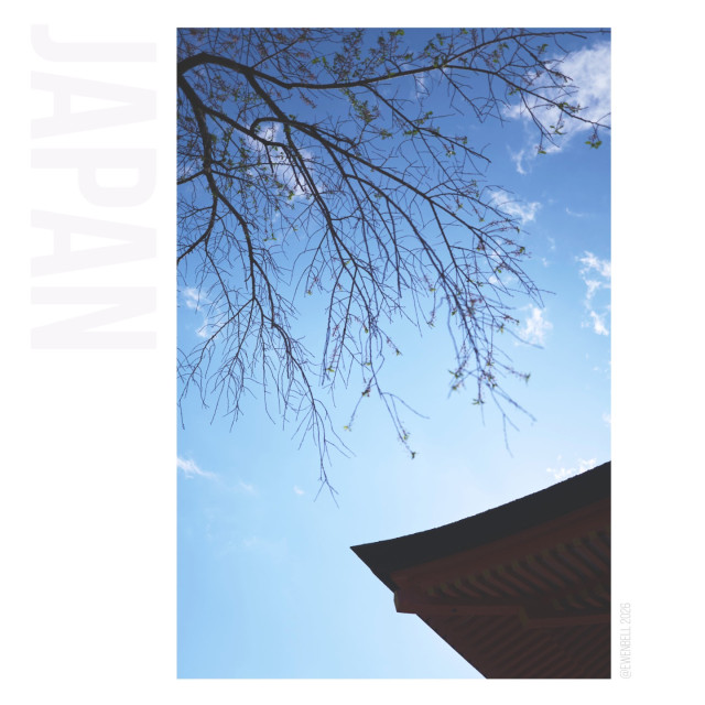 Edge of the temple roof meets the tips of tree branches