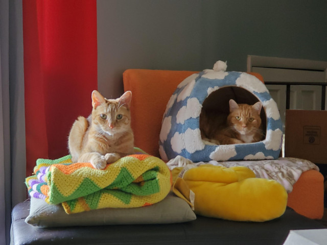 Two orange cats are relaxing. One is perched on a folded afghan thats on a pillow that's on an ottoman. The other is in a soft cave bed decorated with clouds.