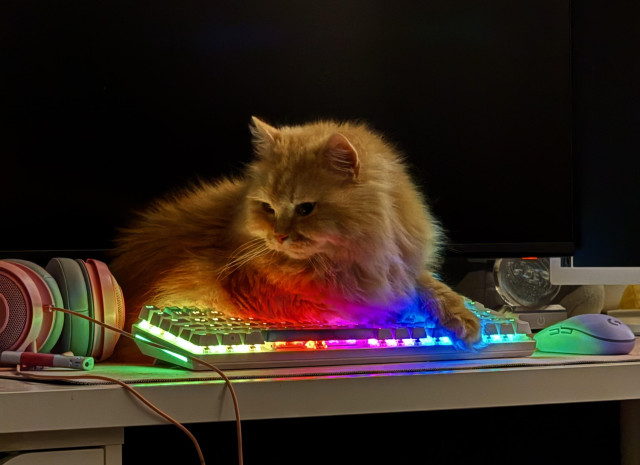 A fluffy orange cat lying on a computer keyboard with rainbow-colored backlit keys, surrounded by headphones and a computer mouse.