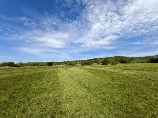 Open field with cut grass in the sun, building and tree line in the distance