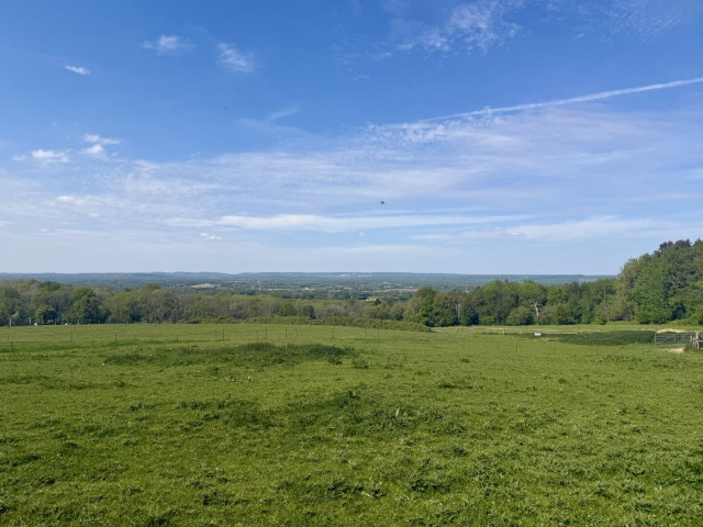 Shot north across the High Weald. Greensand Ridge in the far distance. Open field. Grassy.