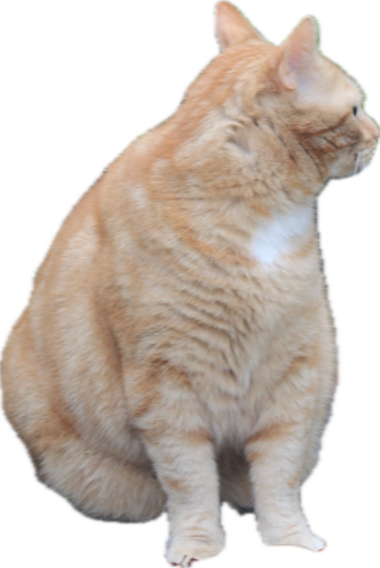 George looking away transparent png