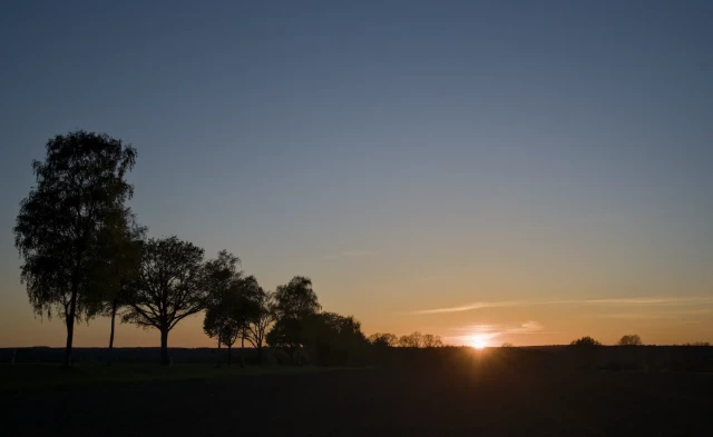 Sonnenuntergang über einer Landschaft mit einer Reihe von Bäumen links im Bild