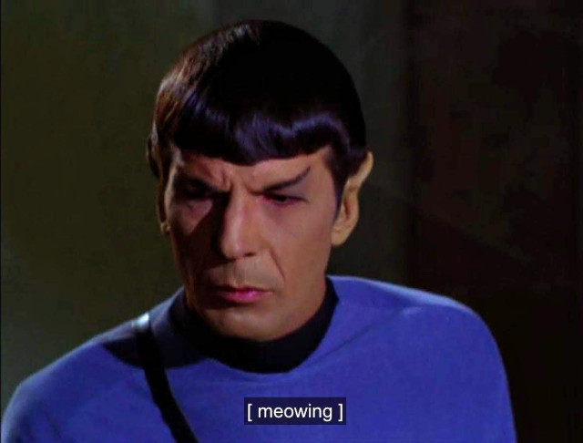 Star Trek The Original Series scene. Spock, in a darkly lit room filled with shadows, is wearing his blue uniform and looks befuddled. Closed caption reads, "[meowing]"