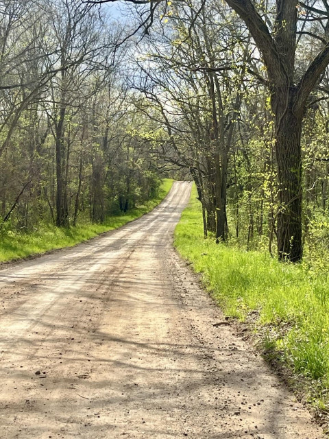 The sun coming out for a brief moment lighting up a dirt road through the woods. The grass beside the road is finally turning green. The trees are slowly following suit. The road goes downhill, then rises up over a crest in the distance. Where it goes from there is unknown.