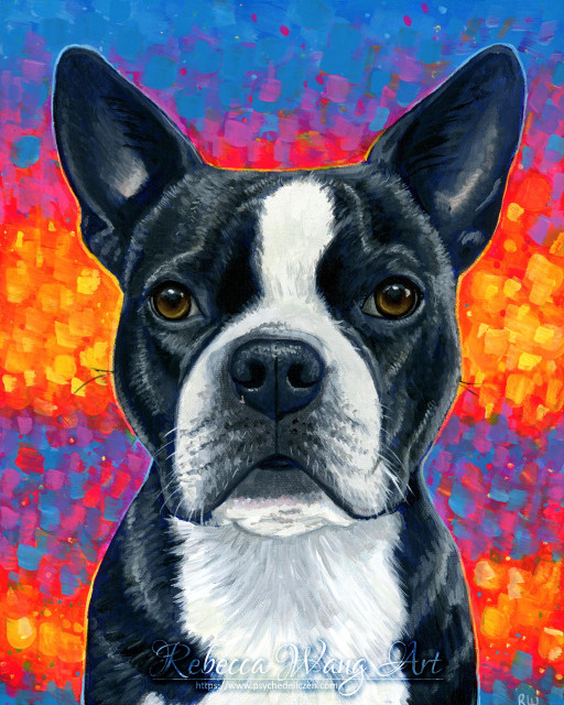 A pet portrait painting of a Boston terrier dog named Baxter, in natural colors with a sunset inspired abstract background.