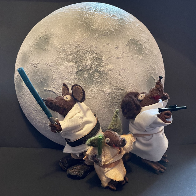Photo of Minimus, Minima and Silvius, the Latin mice, dressed as Luke Skywalker, Princess Leia and Yoda for Star Wars Day.