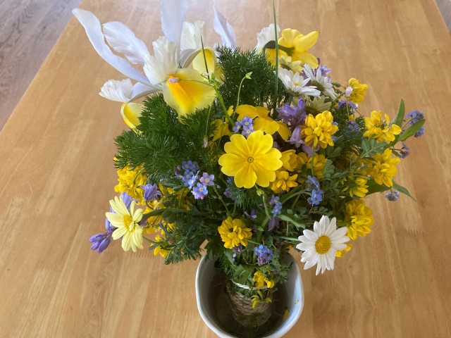 A bouquet of flowers on a wooden table. Yellow petals abound. A white and yellow iris, yellow wallflowers, white daisy with an under planting of blue and pink flecked forget-me-nots. 