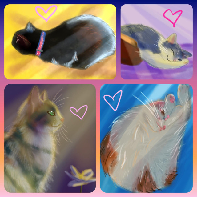 4 doodles of 4 random cats. Top left is a black cat facing away from us. Top right is a white and grey cat sleeping half spilled out of its bed. Bottom left is a side profile of a tabby cat. Bottom right is a white and orange cat sleeping on its side while holding its hind legs.