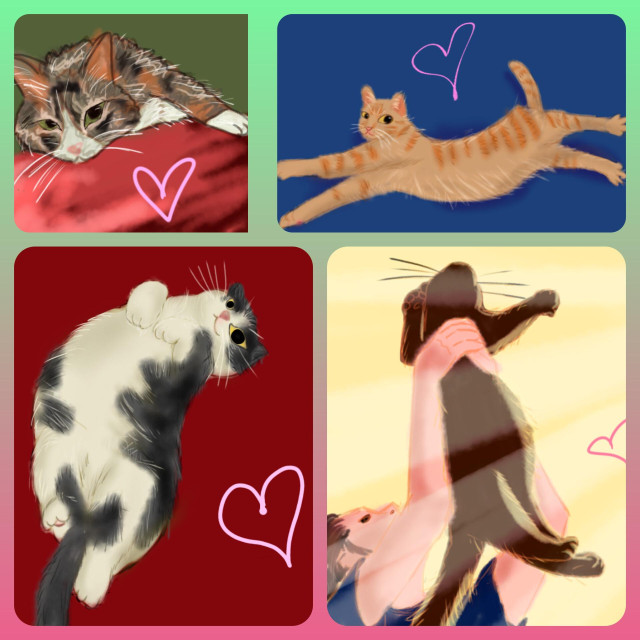 4 doodles of 4 cats. Top left is a torbie lying on its side staring at us. Top right is a lonnng orange tabby stretching. Bottom left is a black and white cat on its back tummy up. Bottom right is a black cat being raised up by her hooman.