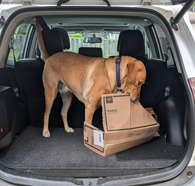 Summer is turning a box into a flat piece of cardboard. She is standing in the cargo compartment of a car. 