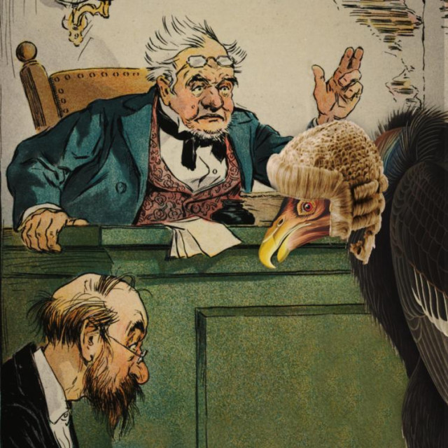 A down-at-heel frontier courtroom presided over by a flustered judge and his miserable clerk. In the foreground is a vulture in a powdered barrister's wig.