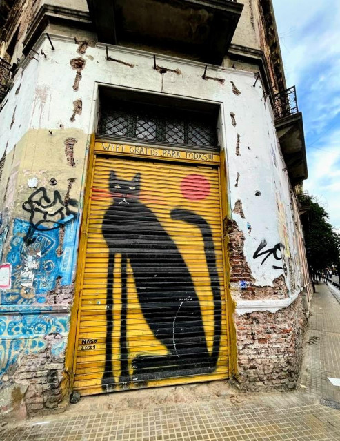 photograph of street art on a weathered old building.  the focus of the scene is a stylized painting of a sitting black cat on a roll-up door (signed NASO 2021). the proportions of the cat are exaggeratored with very long front legs and a small head. 
the cat has red whiskers and there is a red sun in the upper right corner (the background is bright yellow)
the stucco of the building is missing in some areas showing exposed brick. 
there is other miscellaneous graffiti surrounding the cat door