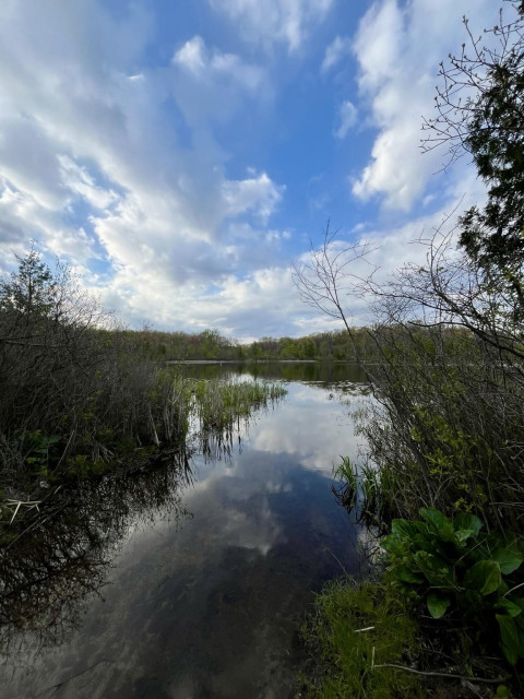One of the many lakes I haunt on my bike rides. This is a small lake in a state park. No houses, no seawall, no development. Just a track to launch your kayak or fishing boat. Surrounded by trees with many white clouds reflected off the lake.