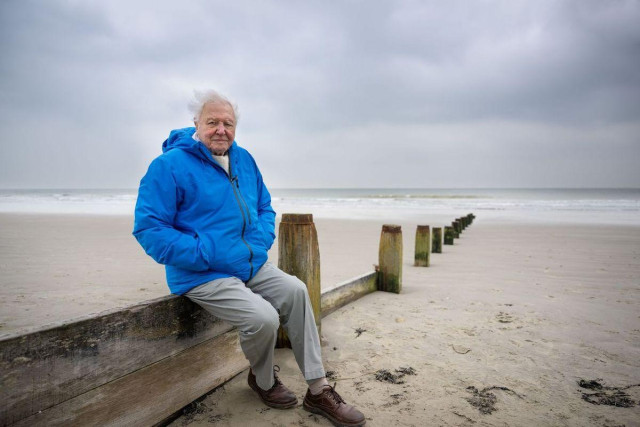 David Attenborough photographed on a sandy beach.