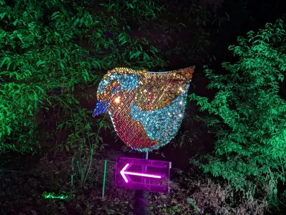 Light art of a robin above an arrow showing the way