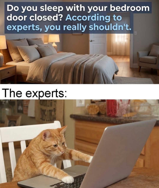 A two-panel meme. The top panel shows a tidy bedroom with the text, "Do you sleep with your bedroom door closed? According to experts, you really shouldn't." The bottom panel is titled "The experts:" and shows an orange cat sitting at a dining table using a laptop.