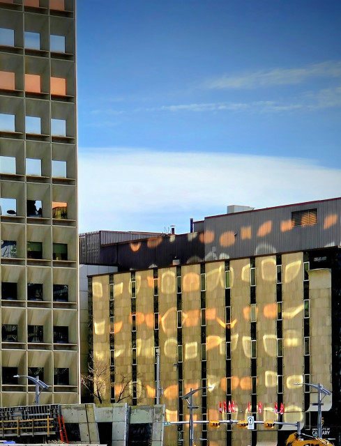 Calgary city center highrise facade with a dense, repetitive grid of rectangular windows that reflect a sunrise light, creating warm orange and yellow patterns across the surface of adjacent building. 