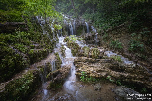 This image captures a serene and enchanting forest scene, dominated by a cascading waterfall that winds its way through a lush, green landscape. The waterfall is the central focus, with multiple tiers of water flowing gently over moss-covered rocks and ledges, creating a sense of movement and tranquility. The water's path is framed by an abundance of greenery, including moss, ferns, and other vegetation, which adds texture and depth to the scene.

The surrounding forest is dense with trees and foliage, their vibrant green leaves forming a natural canopy overhead. The sunlight filters through the leaves, casting dappled shadows and highlighting the rich greens and earthy browns of the forest floor. The rocks and boulders around the waterfall are covered in moss and small plants, enhancing the wild and untamed feel of the environment.

The overall mood is one of peaceful solitude and natural beauty, capturing the ethereal charm of a hidden forest waterfall. The image beautifully conveys the harmony between the flowing water, the lush vegetation, and the rugged rocks, creating a sense of calm and quiet reflection. The soft light and gentle colors evoke a feeling of tranquility and timeless beauty, highlighting the serene charm of this woodland retreat.