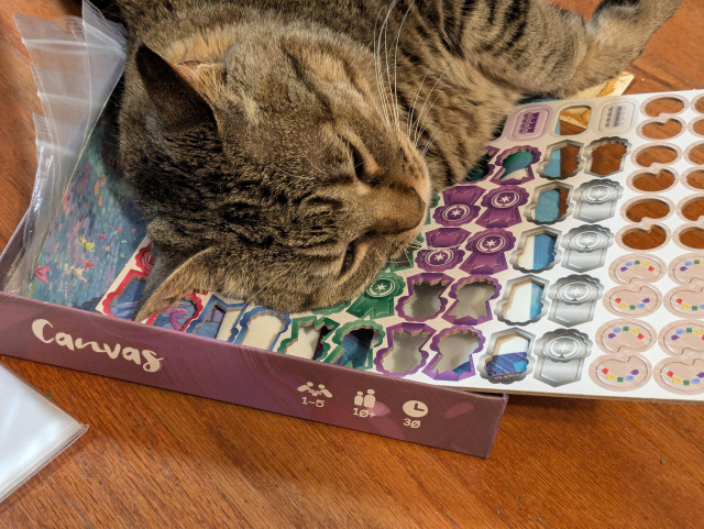 A cat is laying her head on an open game box, crushing everything inside. The game box says Canvas.