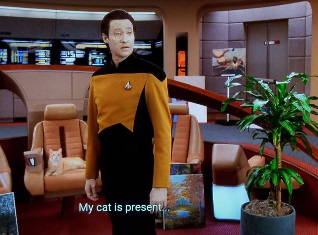 Star Trek The Next Generation scene. Data (pale fella, looks like a guy, also a robot) is standing on the bridge looking towards the view screen. Next to him is for some reason a tall plant standing where there isn't normally plants and several pieces of art laying against a command chair and against the back wall area. Also an orange cat is laying in the captains chair. Closed caption reads ,"My cat is present..."