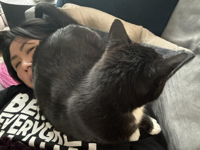 Smol tuxedo cat sitting on a woman’s face which is painfully turned to the side 