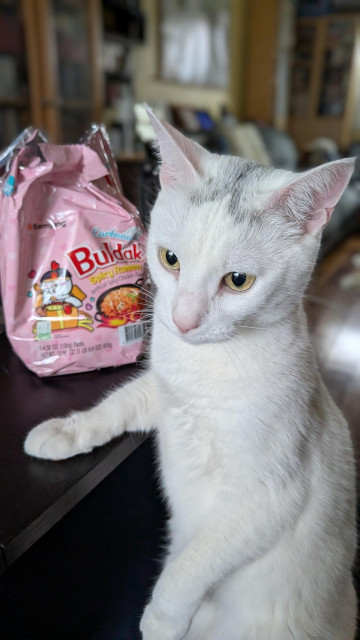 White shorthair cat sitting at a table with one paw on the tabletop, he's looking pensive. Next to him an opened pack of Buldak spicy ramen, which he does not consider a treat.
