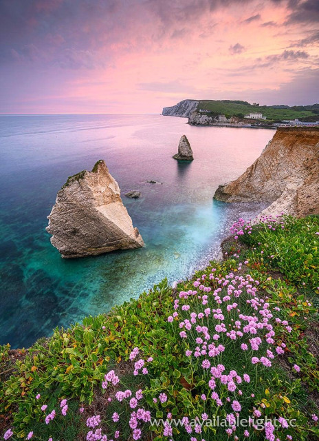 A delicate pink and grey sunset over a very blue sea, cliffs and an abundance of pink coastal flowers (sea pinks/pink thrift). Taken at Freshwater Bay on the Isle of Wight a few days ago.