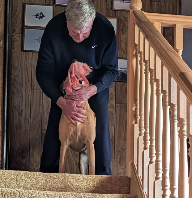 Summer brings her pal the pink flamingo toy. He gives her a big hug. They are at the top of a staircase.