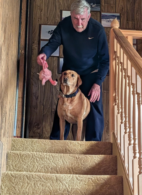 Summer's pal is getting ready to toss the pink flamingo toy. Summer watches intently. They are still at the top of the stairs.