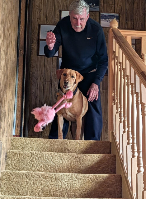 And the pink flamingo toy is airborne. Summer is ready to run. 