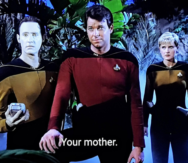 Star Trek The Next Generation scene. We're on a Earthy looking planet with greenery & tropical plants and a foggy haze behind our characters.  Probably quite humid and #moist. Centered is Riker, freshly shorn, with Data to his right and Tasha Yar an extra step behind on his left. She looks concerned, Data is pulling a reading on his tricorder, and Riker has his foot propped and his knee up. Classic Riker. Closed caption reads, "Your mother."