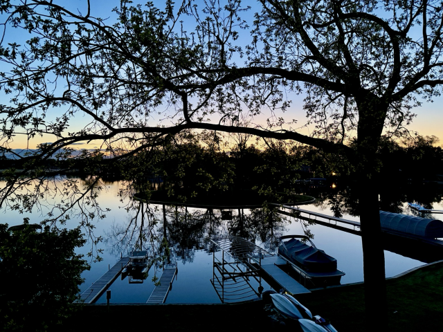 Photograph of an early sunrise over a reflective lake with the branches and budding spring leaves of a walnut tree in the foreground spread across the top of the image.
