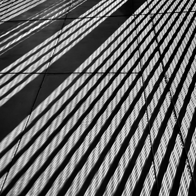 Black and white photo of shadows on a sidewalk being cast by a neighboring fence