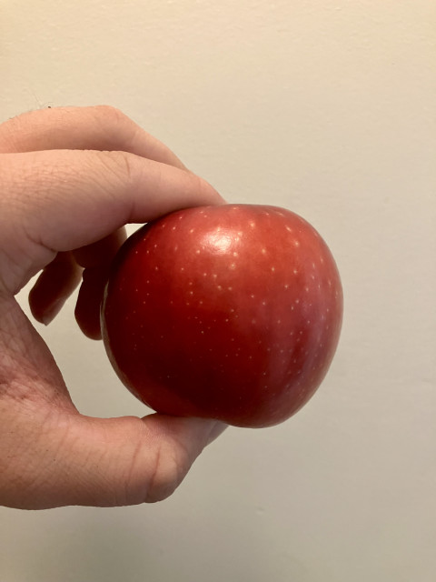 A hand holds a small, glossy red apple against a plain beige wall. The apple is nearly spherical with smooth skin, scattered pale speckles, and a bright reflection from overhead lighting near the top. The fingers gently pinch the fruit from above and below, emphasizing its compact size.
