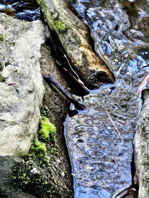 A mountain stream running between two rocks, reflecting the sky. Sticks in the water and moss balls on the rocks. Dharug and Gundungurra country.