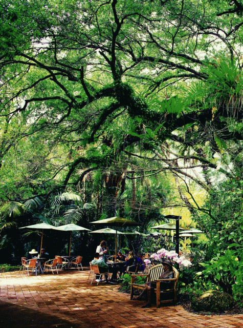 Outdoor cafe at fairchild botanic garden, miami
