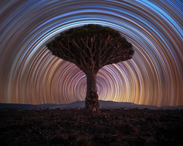 Dragon Tree Trails by Benjamin Barakat

"A solitary tree stands tall in the heart of Socotra’s forest of dragon’s blood trees – an otherworldly landscape unlike anywhere else on Earth. Facing north, I knew this spot was ideal for a star trail composition," explains Benjamin.

"To capture the stars’ movements across the night sky, I took 300 individual exposures and stacked them to create the final image. One key technique to achieving clean, vibrant trails is underexposing slightly with a low ISO. Thanks to the ISO invariance of my Sony camera, I could recover shadow details in post-processing without compromising quality. This scene was truly magical – one of my favourite star trail images from around the world."

Taken from Firmihin Forest, Hidaybu District, Socotra, Yemen