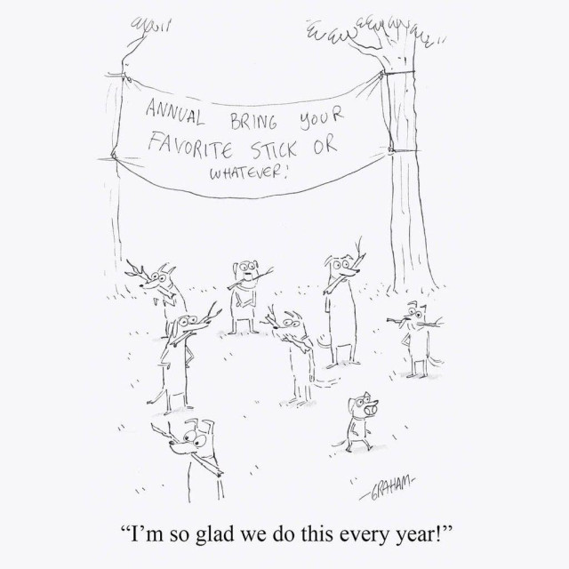 A cartoon illustration of a group of dogs in a park holding sticks and a ball in their mouths underneath a banner titled "Annual Bring your Favorite Stick or Whatever". Caption reads "I'm so glad we do this every year."