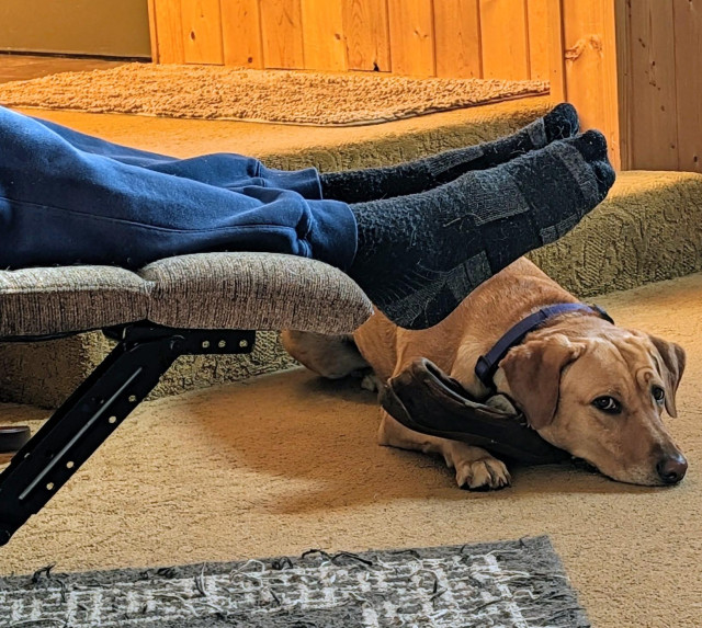Golden lab is waiting with her pal's slipper next to his chair. I think it might be time for new slippers. Not because Summer chews on them but because her pal likes to wear them outside when the grass is wet. 