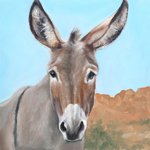 A portrait of a donkey with blue skies and some desert rock and brush on the lower right side 