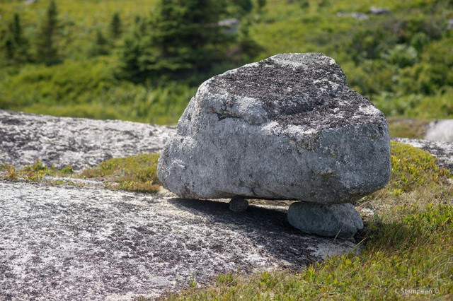 A huge lichen-covered granite rock is sitting on two much smaller rocks, that are sitting on the granite rock surface of the earth.  Around and behind this area, we can see short, hardy plants, as well as stunted black spruce trees. 