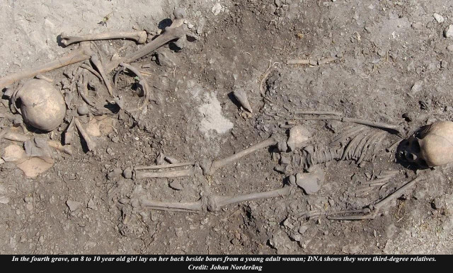 DNA reveals extended hunter-gatherer family ties in 5,500-year-old Stone Age graves on Gotland

A 5,500-year-old cemetery on Gotland is offering a close look at family life among one of the last hunter-gatherer groups in northern Europe. Researchers studied graves at Ajvide, a major site linked to the Pitted Ware Culture. These people lived by hunting seals and fishing along the Baltic coast long after farming had spread across much of Europe.

Ajvide contains at least 85 known graves. Eight hold more than one person. A research team analyzed DNA from 10 individuals buried together in four of these graves. They also compared the results with published genomic data from 24 people from other Pitted Ware sites on Gotland. The combined dataset allowed the team to map biological relationships within and between communities...
