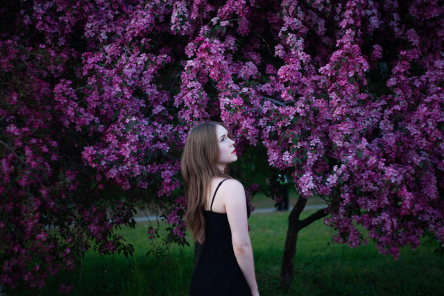 A young woman with long hair, wearing a black dress, stands in profile looking up at a large, lush lilac bush covered in vibrant purple flowers. The scene is captured in soft evening light, creating a calm and atmospheric mood.