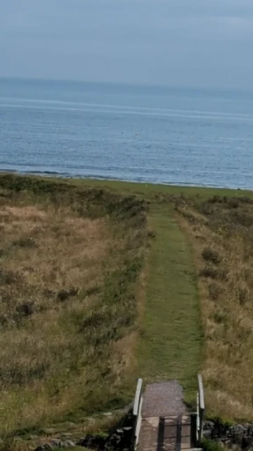 A grass path. A clear direction to follow with well maintained grass surrounded by wilder grass