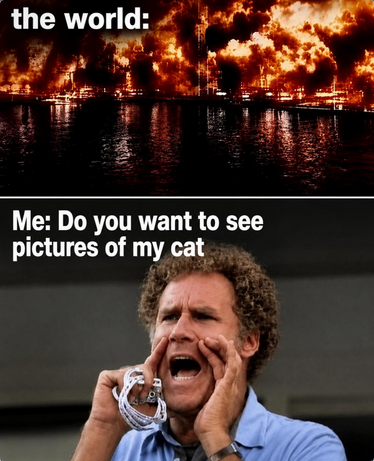 Meme with top panel showing a fire rampaging through a city, captioned "the world." Bottom panel shows Will Ferrell yelling "Me: Do you want to see pictures of my cat"