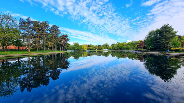 A blue sky speckled with white clouds reflected in a pond in a Glasgow park.